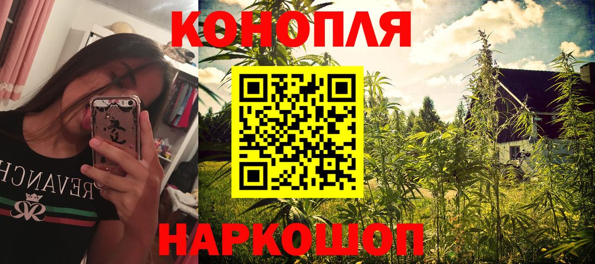 Бошки Шишки марихуана Кольчугино